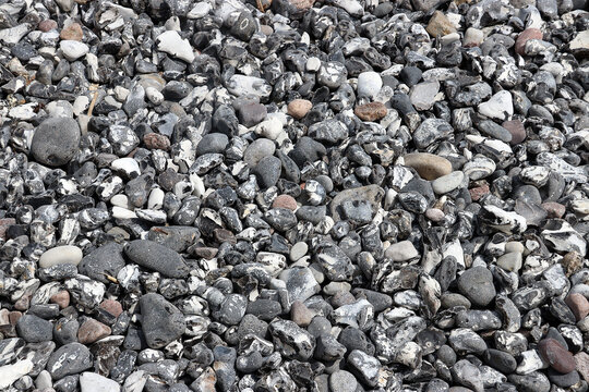 Natural texture background of flint stones along the chalk cliff coast of R&uuml;gen island (Jasmund National Park, Germany)