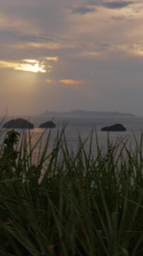 Vertical video. Sunset Shines Through Clouds Above Calm Sea and Distant Islets, Framed by Tall Coastal Grass in a Serene Natural Landscape