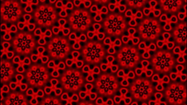 Red floral pattern animation pulses with intricate glowing borders. Symmetrical geometric mandala graphics form this red floral pattern. Hypnotic abstract visual motion animates the floral pattern.