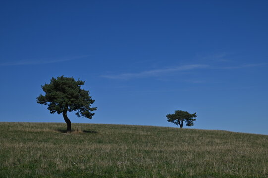 Horizon Sancy 2026