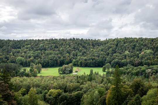 Lush Forest Valley and Green Meadow Beneath an Overcast Sky