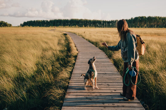 Woman training her dog on a wooden boardwalk in open grassland, using hand signals during an outdoor walk to support obedience, communication and responsible pet ownership.