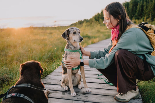 Woman gently holding and comforting her dog beside a second pet on a wooden boardwalk at sunset, showing pet care, companionship, trust and human-animal bond.