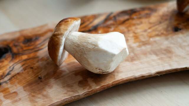A single fresh porcini mushroom on a wooden cutting board. Natural forest food, seasonal harvest, wild edible ingredient, and culinary preparation concept.
