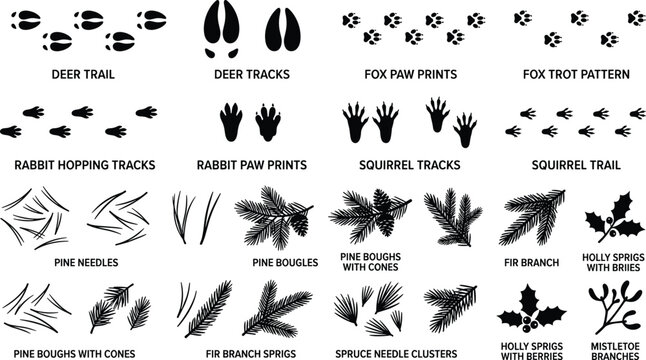 Set of black silhouette icons of forest animal tracks, deer trails, pine branches, and winter foliage.