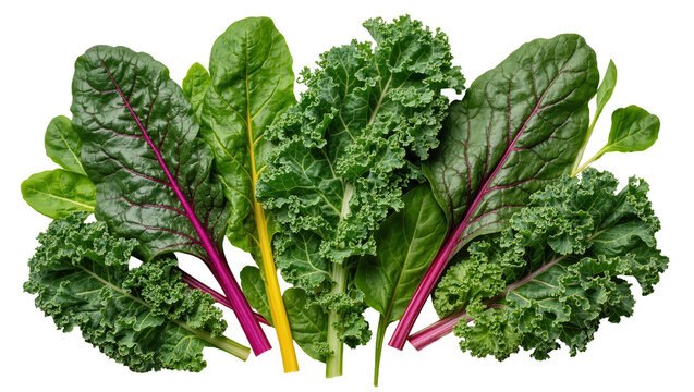 Fresh green kale and rainbow chard leaves, isolated on transparent background