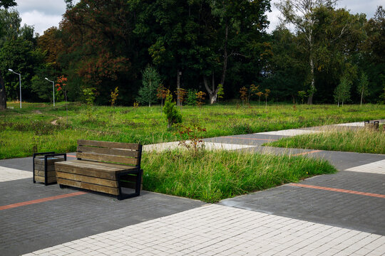 Empty wooden bench stands on paved public park walkway surrounded by green grass and lush trees with copy space