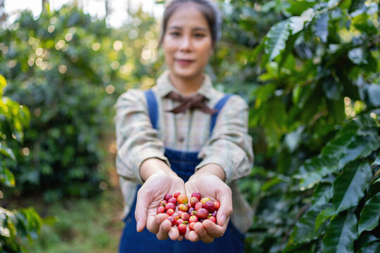 Woman smiles gently, holding coffee cherries