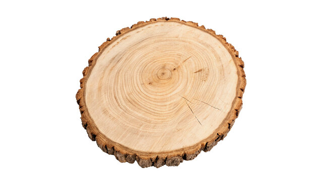 Cross section cut of circular tree trunk log isolated on transparent background.