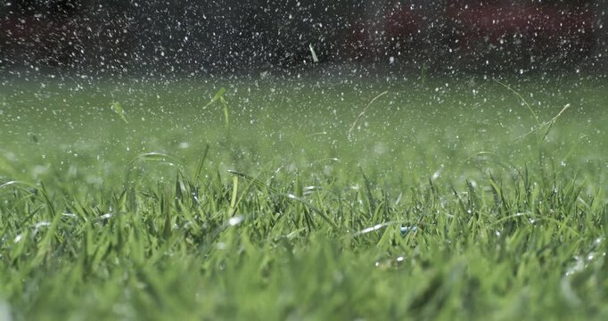 Golf club hits a white golf ball in a super slow motion. Drops of morning dew and grass particles rise into the air after the impact. Shot on super slow motion camera 1000 fps.