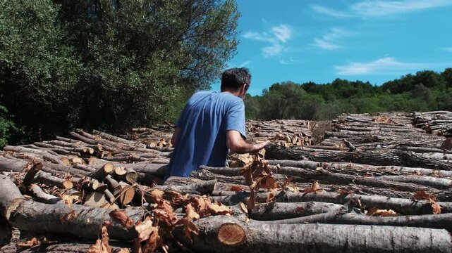 Rear view of forestry worker walking between massive stacks of cut logs in open timber yard