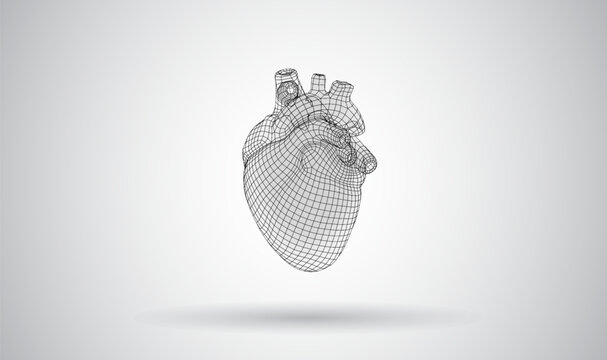 3D mesh object on a white background
