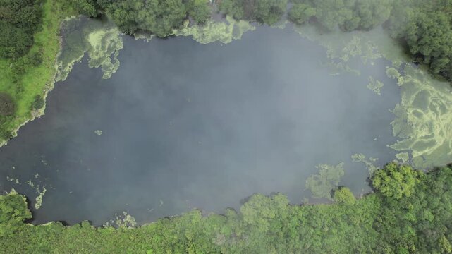 4K top-down drone view of a misty mountain lake in Yala, Jujuy, Argentina. Lush Yungas vegetation, dense forest and vibrant green landscapes surround the tranquil waters in the Andes.