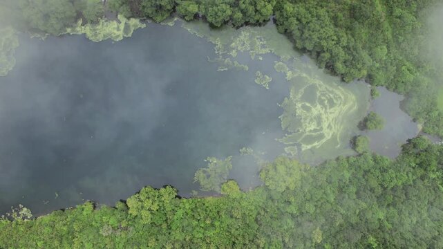 4K top-down drone view of a misty mountain lake in Yala, Jujuy, Argentina. Lush Yungas vegetation, dense forest and vibrant green landscapes surround the tranquil waters in the Andes.