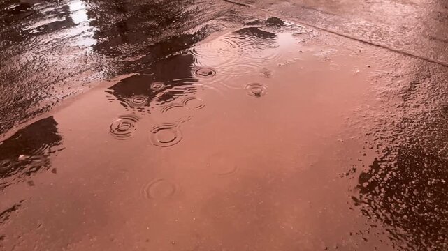 Raindrops falling into a shallow puddle on wet pavement, creating circular ripples, rainy weather, urban texture and atmospheric background.