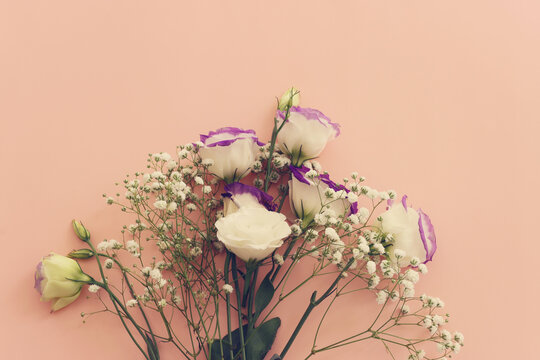 Top view image of romantic and delicate flowers on pastel background