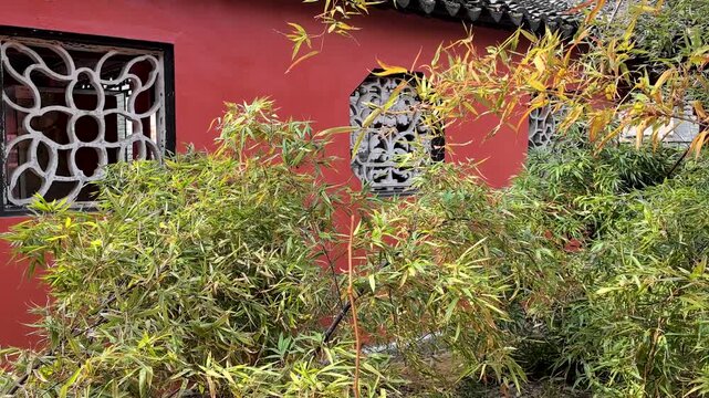 The bamboo plants grown in Xian Tong Temple. Also known as Xiangshan Temple, it was founded during the Western Jin Dynasty. Located in Huainan City, Anhui Province, China.
