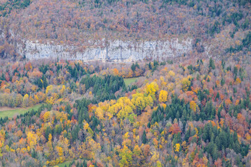 Autumn Forest And Limestone Cliff Near Corbel In Chartreuse © Vincent Cazajous