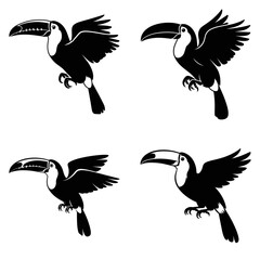 Fototapeta premium Toucan silhouettes showcase dynamic wing positions against a white backdrop