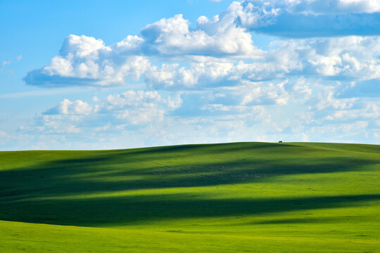 Rolling Green Meadow Beneath Blue Sky and White Clouds