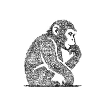 Sketch chimpanzee logo design