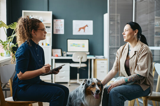 Young adult Caucasian female veterinarian talking with client holding dog during clinical consultation. Ideal for veterinary clinic advertising and pet healthcare services