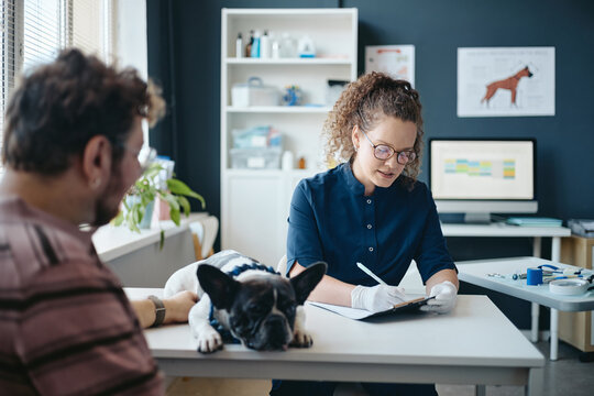 Young adult Caucasian female veterinarian writing medical chart while consulting young adult man with dog in clinic. Useful for veterinary medicine and pet care advertising