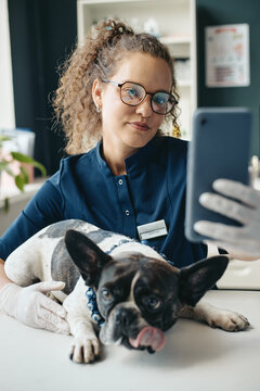 Vertical shot of Caucasian young adult female veterinarian taking selfie with french bulldog via smartphone in clinic. Visual represents pet healthcare services and animal telemedicine