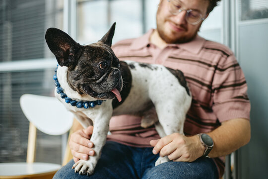 Young adult Caucasian man holding French bulldog on lap in veterinary clinic. Ideal visual for pet healthcare marketing
