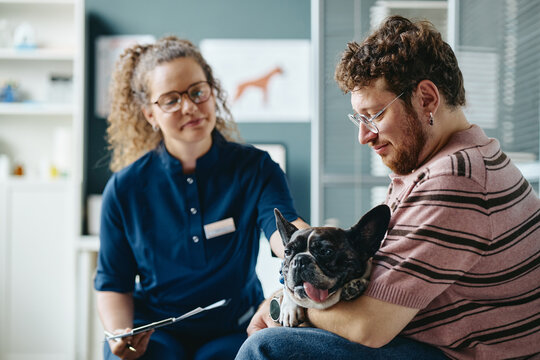 Young adult Caucasian veterinarian consulting young adult Caucasian male owner holding French bulldog in clinic. Image useful for veterinary care, animal health services, and pet insurance campaigns