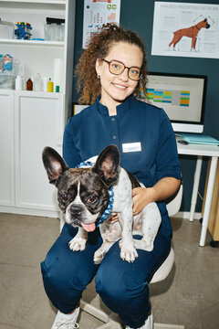 Vertical portrait of young adult Caucasian woman veterinarian sitting and holding French bulldog inside vet clinic. Ideal for veterinary medicine, pet healthcare advertising