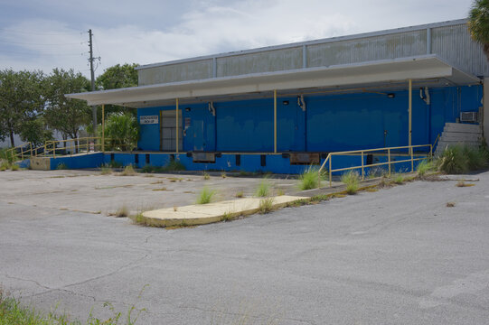 An abandoned blue industrial loading dock and warehouse with peeling paint, overgrown weeds and cracked pavement conveying urban decay, neglect and quiet atmosphere under a cloudy sky.
An abandoned bl