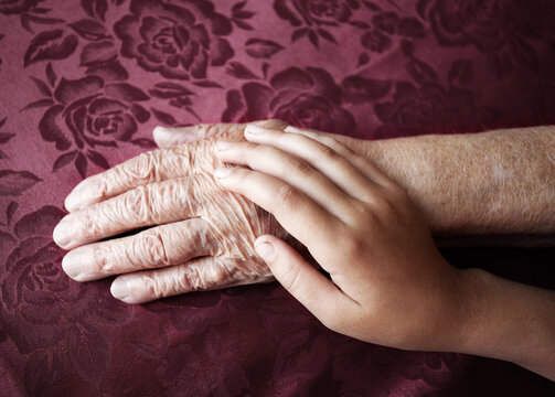 Young woman hand gently holding wrinkled hand of elderly woman on burgundy floral fabric. Close up of two generations touching with care and love.