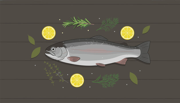 Fresh raw trout fish prepared for cooking with lemon slices and herbs on a dark rustic wooden table for a healthy meal dinner.
