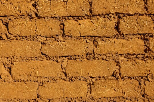 Mud brick wall drying in the sun with straw showing in every face