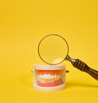 A magnifying glass over a dental jaw model against a yellow background.