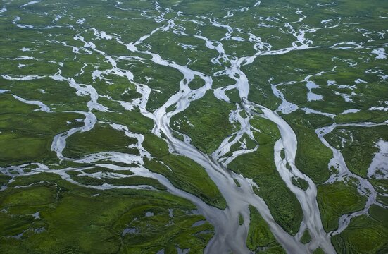Wide river delta braiding through green wetlands