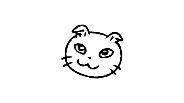Animated doodle icon of a cute Scottish Fold cat face with folded ears.