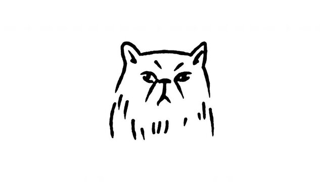 Animated doodle icon of a cat face with a grumpy and worried distressed expression.
