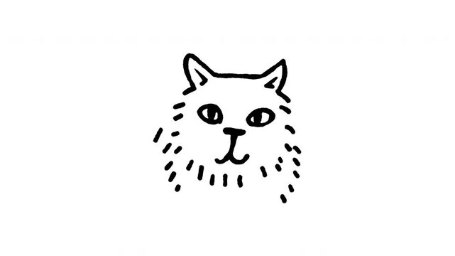 Animated doodle icon of a fluffy Siberian cat face with a round appearance and big eyes.