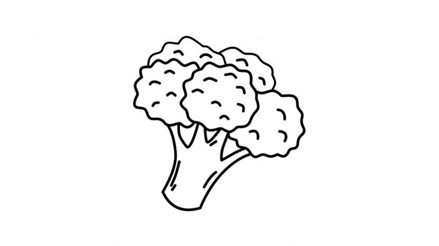 broccoli outline, broccoli line art
