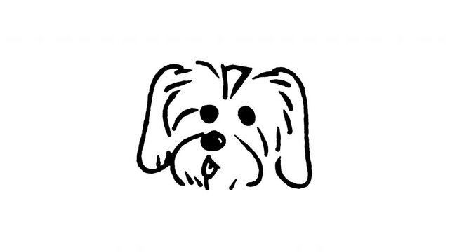 Animated doodle icon of a long-haired Shih Tzu dog face with cute facial hair.