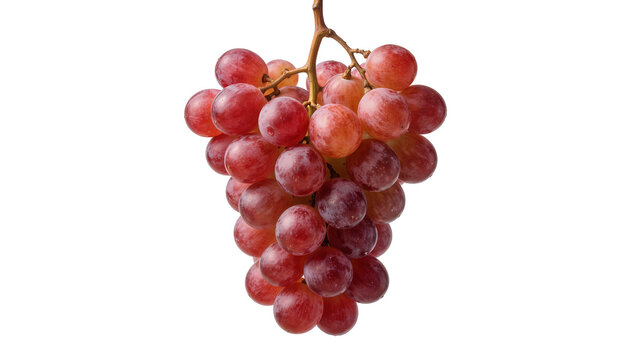Fresh red globe grapes on stem, isolated on transparent background