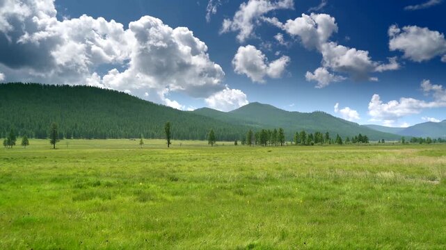 Pristine meadow beneath dramatic clouds creates fairytale wilderness across northern grassland.