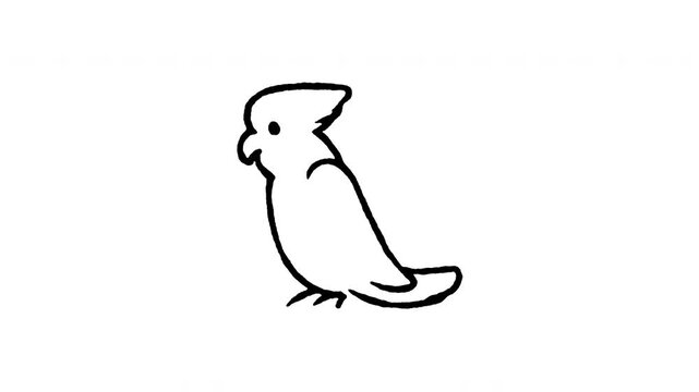 Animated doodle icon of a cockatiel parrot with a distinctive head crest.