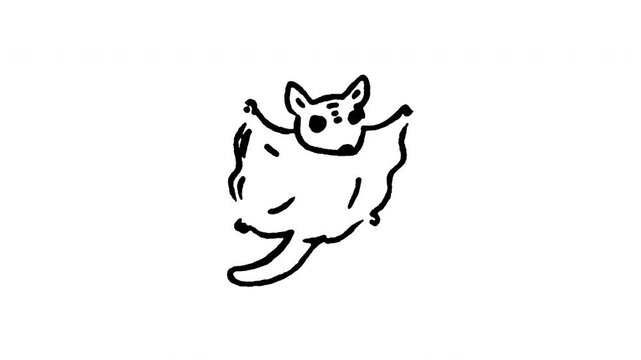 Animated doodle icon of a sugar glider marsupial gliding in the air with open membrane.