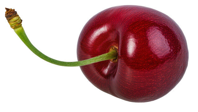 Single ripe dark red cherry with green stem isolated on transparent background