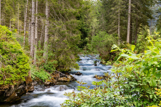 River flow in nature. Natural stream of river rock. Water of river flow in wilderness. Wilderness nature brook. Stream of creek water. Nature wildness. River creek cascade. Mountain creek