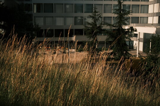 Zurich, Suisse