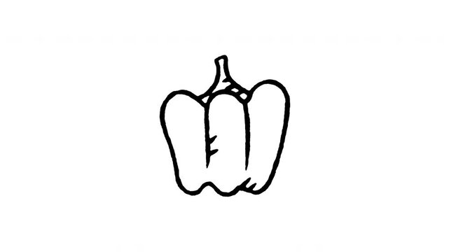 Animated doodle icon of a sweet bell pepper capsicum for culinary dishes.